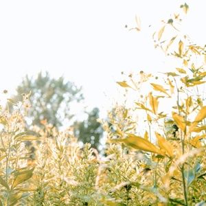 Meet your Posher, Sheri